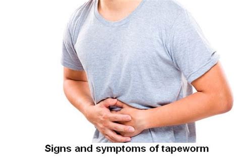 Tapeworm Symptoms What Is A Tapeworm