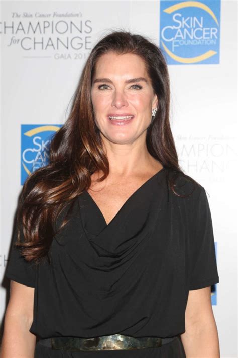 Brooke Shields The Skin Cancer Foundations ‘champions For Change