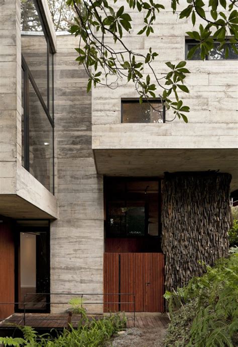 Trees Interacting With Living Space Corallo House In