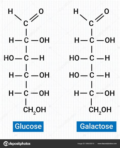 Chemical Structure Glucose Galactose Stock Vector Image By ©samjore