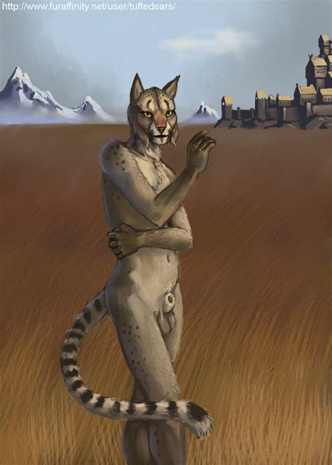 Rule If It Exists There Is Porn Of It Khajiit