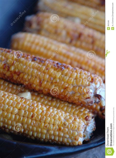 Roasted Corn On Cob Stock Photo Image Of Holiday Healthy 361540