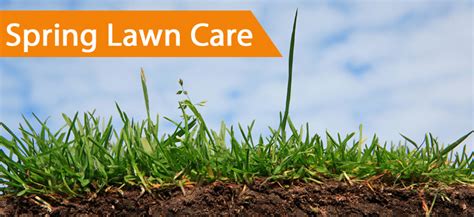 2828 n lee trevino, el paso, tx 79936. LAWN CARE AND GRASS SEED - ProTech Property Solutions