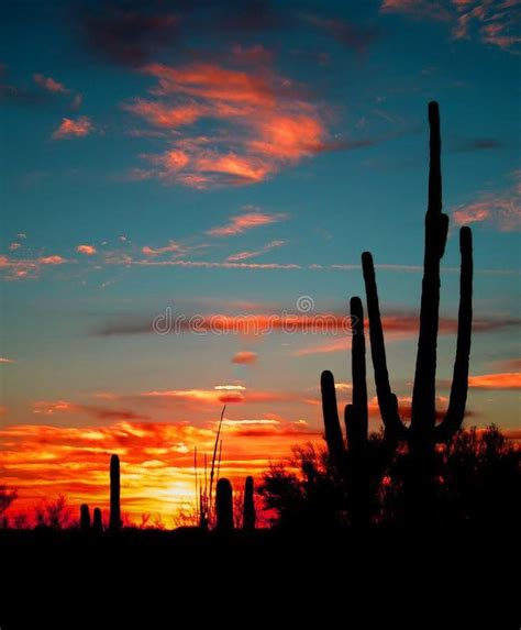 My Desert Desert Sunset Tucson Sunset Sunset