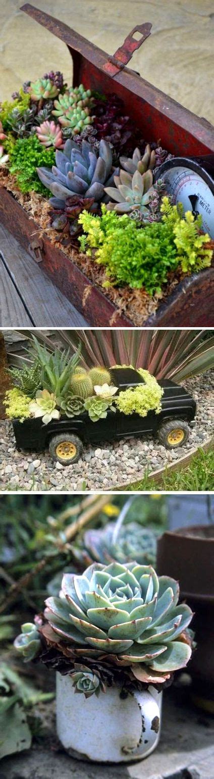 Succulent Container Garden Inspiration Looking And Feeling