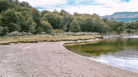 Visitar El Parque Nacional Tierra Del Fuego Go Patagonic