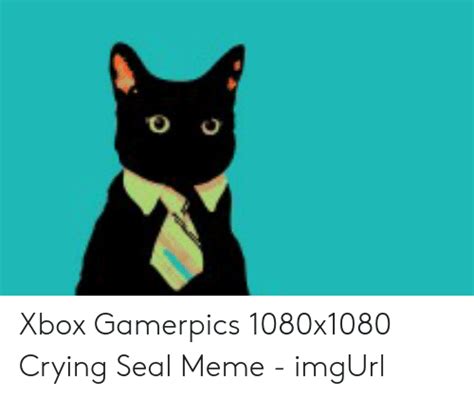 Xbox Gamerpics 1080x1080 Crying Seal Meme Imgurl
