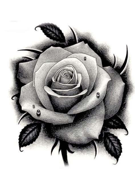 Rosa Desenho Tattoo Pinterest Projeto De Tatuagem Feito Pelo Tatuador