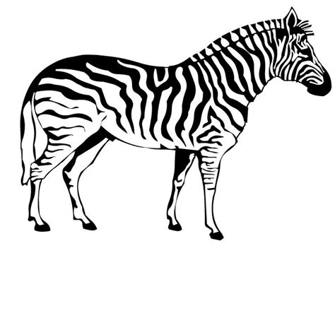 9 Best Images Of Zebra Prints Letters Printables Zebra Print Alphabet