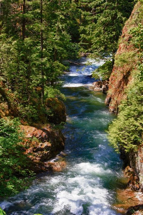 Englishman River Vancouver Island Vancouver Island