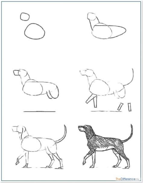 Nacrtajte štene Olovkom Kako Nacrtati Lice Psa