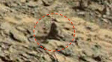 Forget The Mouse On Mars Now A Monkey Has Been Found On The Red