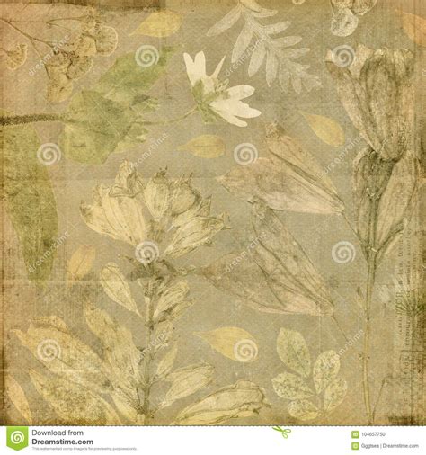 Vintage Antique Botanic Floral Collage Paper Background Stock