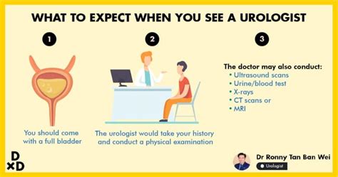 The Ultimate Guide To Seeing A Urologist In Singapore 2021 Human