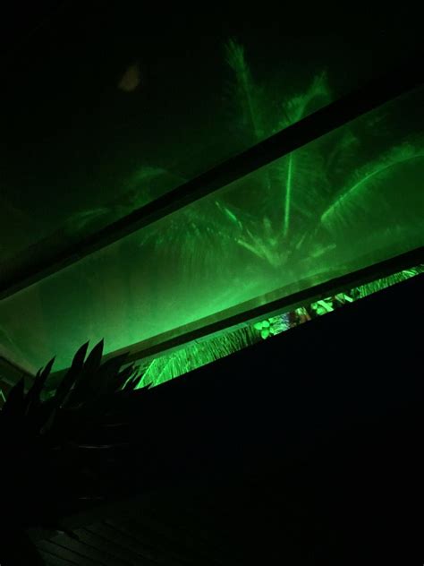 Nature aesthetic summer aesthetic travel aesthetic aesthetic photo aesthetic pictures. greentoothpaste | Dark green aesthetic, Green aesthetic ...