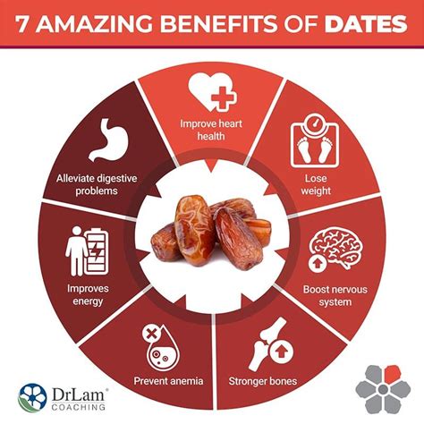 Amazing Benefits Of Dates For Improving Your Health And Wellbeing