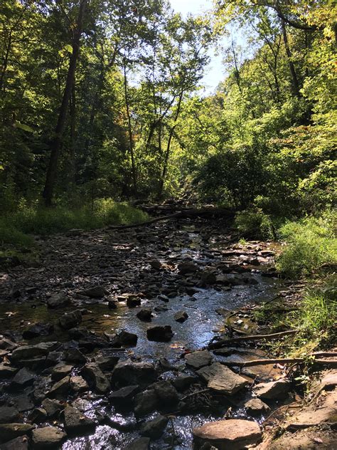 A beautiful morning at McCormick's Creek State Park (Spencer, IN) : r