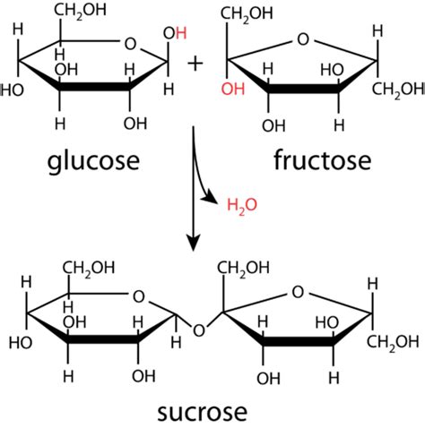 Fructose And Glucose