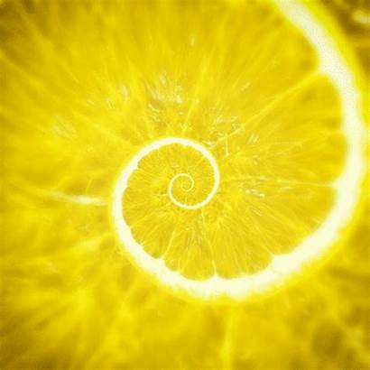Yellow Lemon Trippy Animated Spiral Infinite Loop