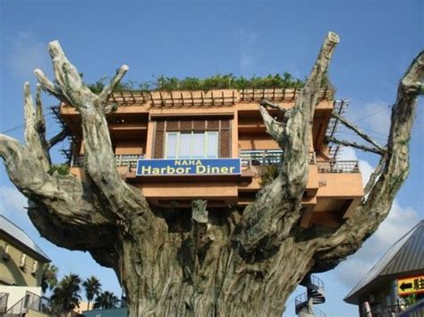 Elevated Naha Harbor Treehouse Diner In Okinawa Japan 4 Tree House Okinawa Tree Restaurant