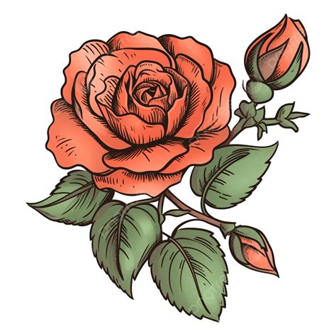 로즈 레드 레트로 아름다운 패턴 장미 로즈 장미꽃 Png 일러스트 및 이미지 에 대한 무료 다운로드 Pngtree