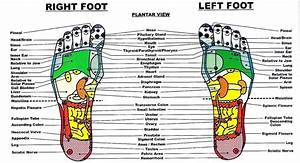 The Benefits Of Foot And Hand Reflexology Foot Chart Reflexology