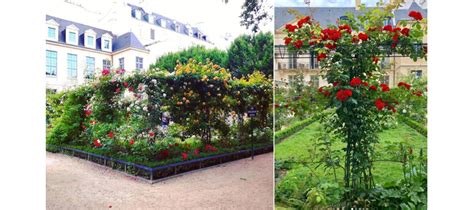 Où pique-niquer à Paris ? Les plus beaux jardins secrets à Paris