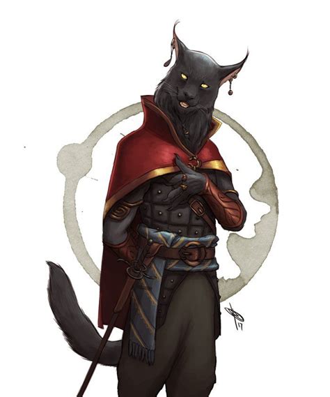 Cat Character Character Creation Fantasy Character Design Character