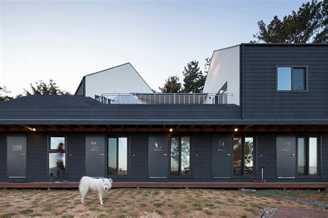 Dog Friendly House Serves As A Staycation By The Sea Zi