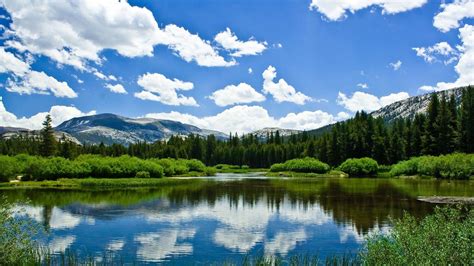 Landscape View Of Mountain White Clouds Blue Sky Green Trees Forest