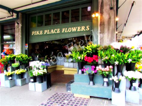 Maybe you would like to learn more about one of these? Pin de Renee Fields em Renée Fields Photography | Floricultura
