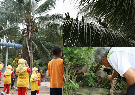 Selama hidupnya, mereka hanya hidup dengan satu pasangan. Dr Mat: Konservasi Burung Enggang: Sokongan Penduduk Parit ...