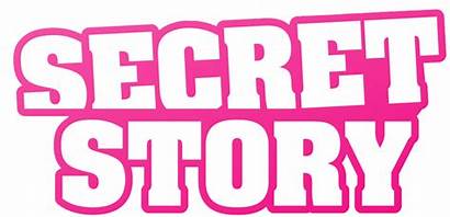 Secret Story Tv Wikipedia Series French Secrets