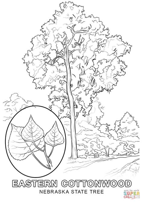 Nebraska State Capitol Coloring Page Coloring Pages
