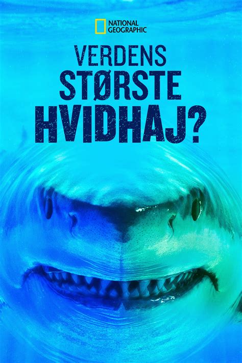World’s Biggest Great White Shark Poster 10: Full Size Poster Image