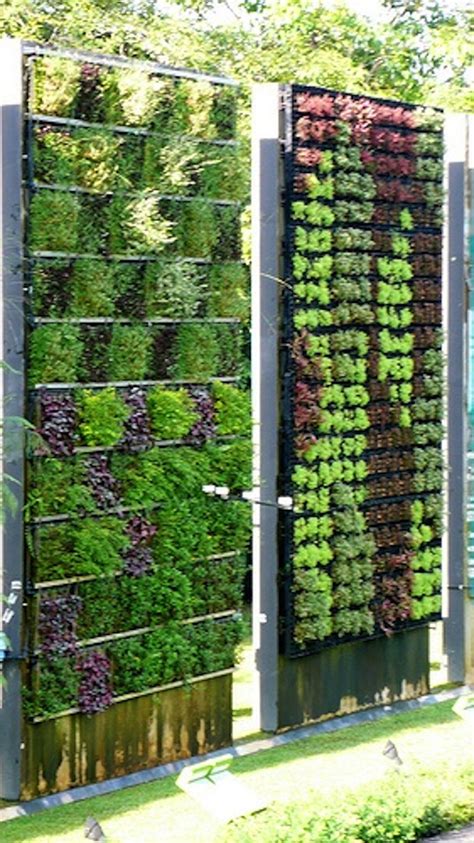 Wall Amazing Vertical Garden Living Wall Garden Garden Inspiration