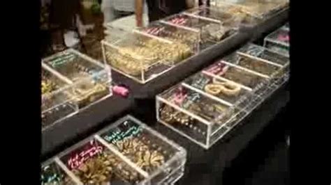 Kansas City Reptile Show 7-17-11 - YouTube