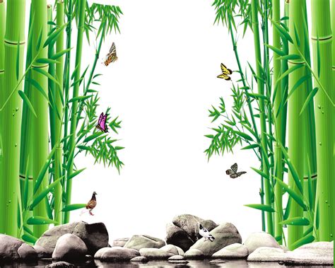 Real Bamboo Tree PNG Transparent images