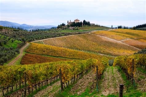 Tripadvisor has 39,796 reviews of greve in chianti hotels, attractions, and essential greve in chianti. ingsva.fi Greve in Chianti - ingsva.fi