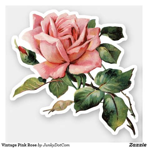 Vintage Pink Rose Sticker Tumblr Stickers Aesthetic Stickers Floral