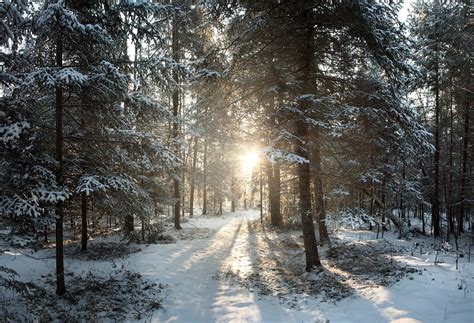 Winter Wonderland United States Wisconsin Phillips N Flickr
