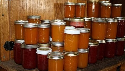 The Basics Of Home Canning For Food Preservation The Sustainable