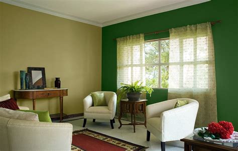 Asian Paints Colour Combination For Living Room Living Room Color