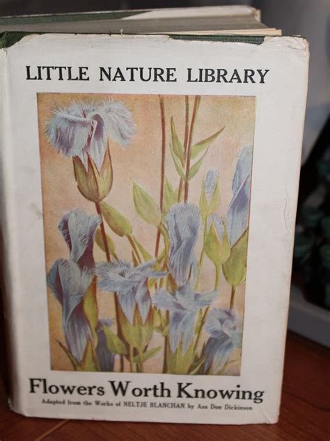 Antique 1924 Little Nature Library Wild Flowers Worth Knowing By