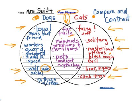 Compare And Contrast Venn Diagram Printable