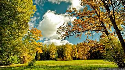 Trees Autumn Wallpapers Frankenstein Crazy Afternoon Peaceful