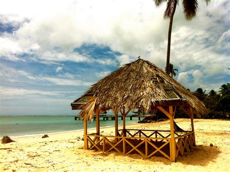Free Photo Trinidad And Tobago Beach Caribbean Hut Free Download