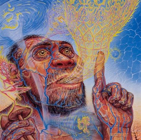A Critique Of Terence Mckennas Stoned Ape Theory
