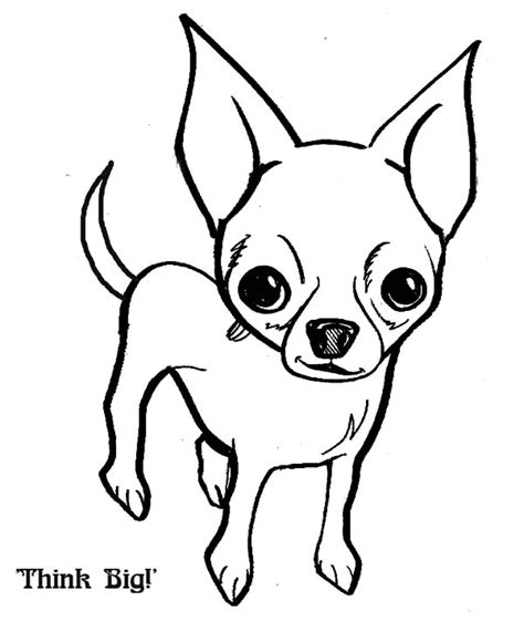 Lista 91 Imagen Cómo Dibujar Un Perro Chihuahua Cena Hermosa