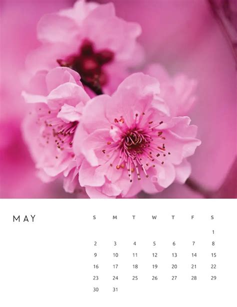 70 Awesome Free Printable May 2021 Calendar Templates